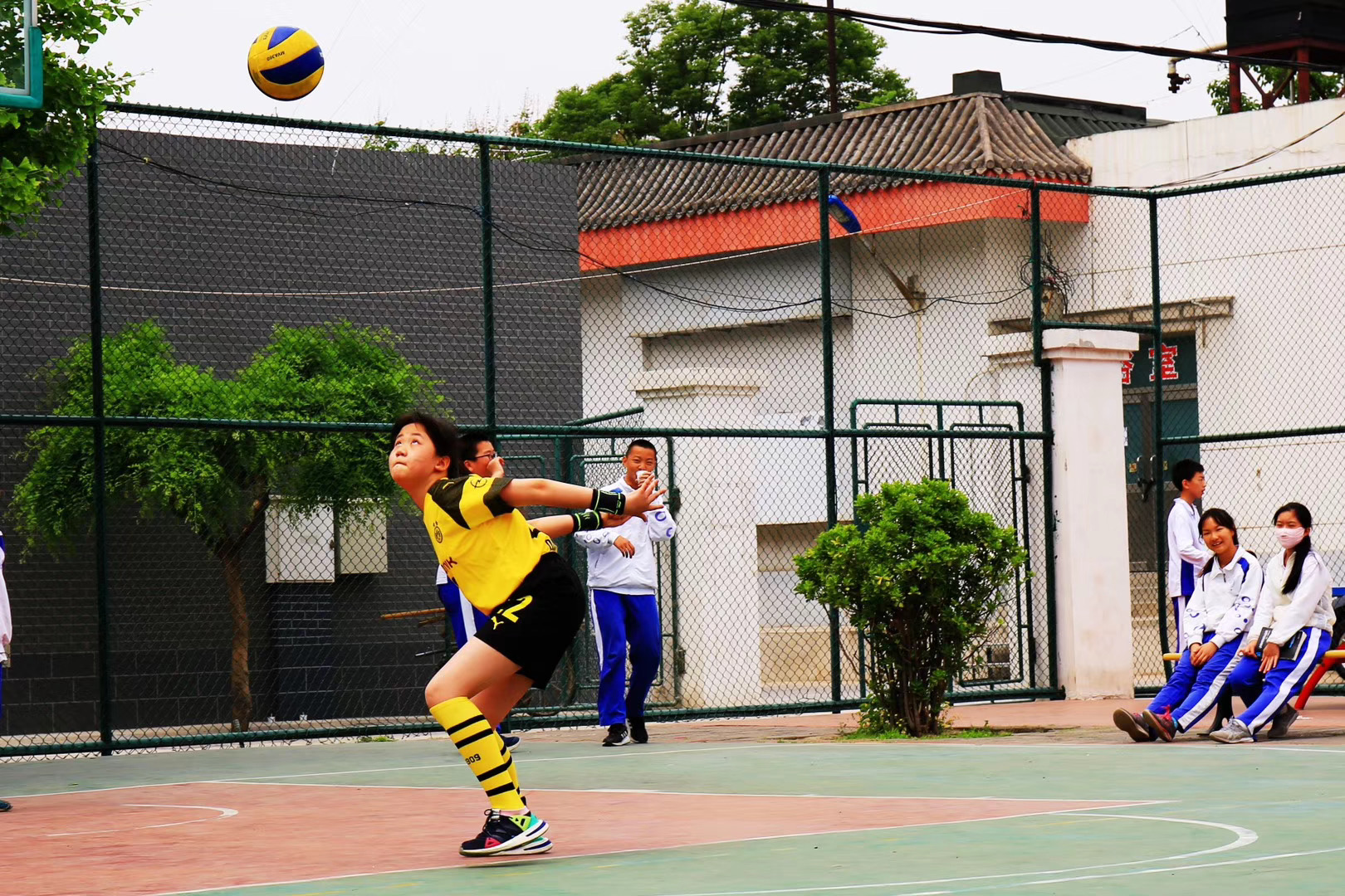 Volleyball