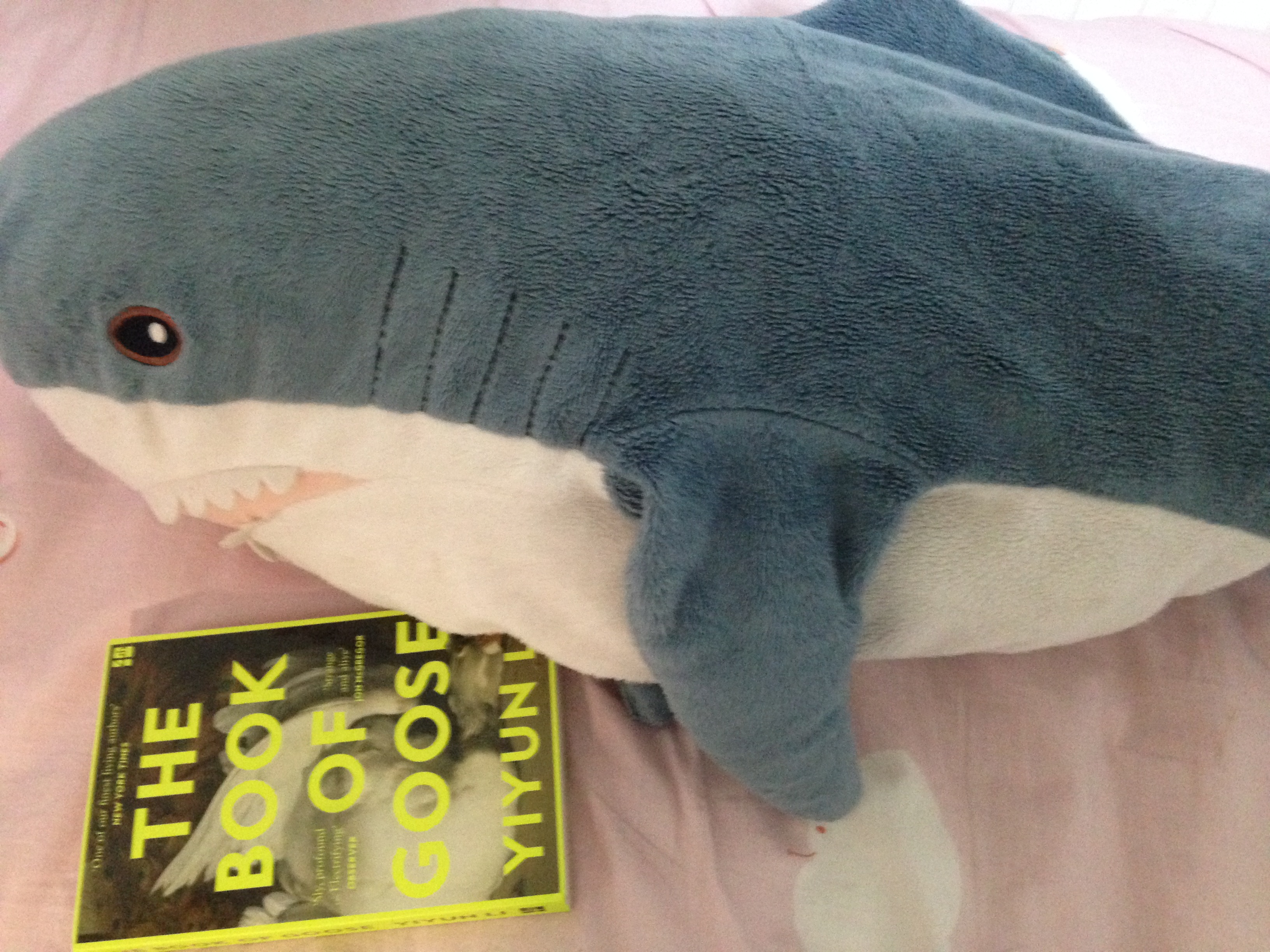 Shark Pillow